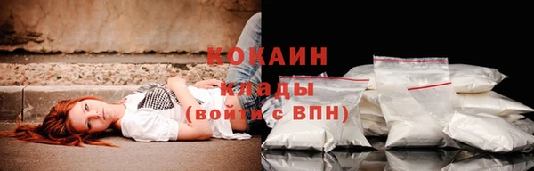 прущая мука Богородицк