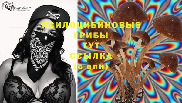 прущая мука Богородицк