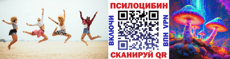 Купить закладки  Невьянск  Галлюциногенные грибы прущие грибы 